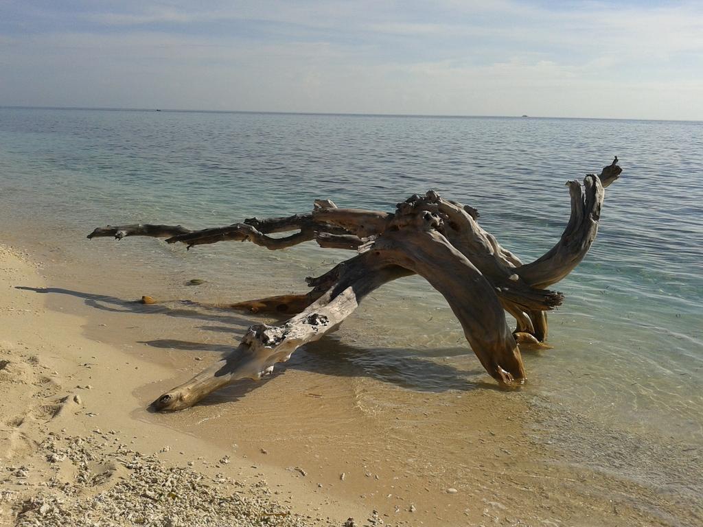 Putri Homestay Gili Meno Eksteriør billede