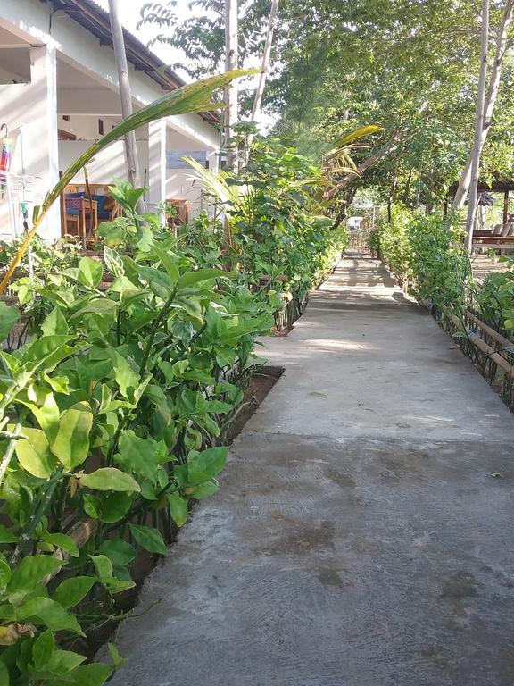 Putri Homestay Gili Meno Eksteriør billede