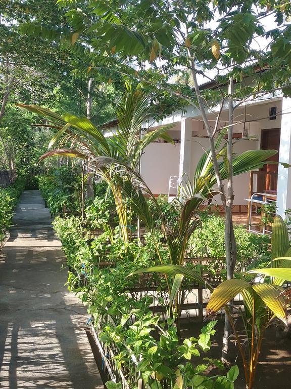 Putri Homestay Gili Meno Eksteriør billede