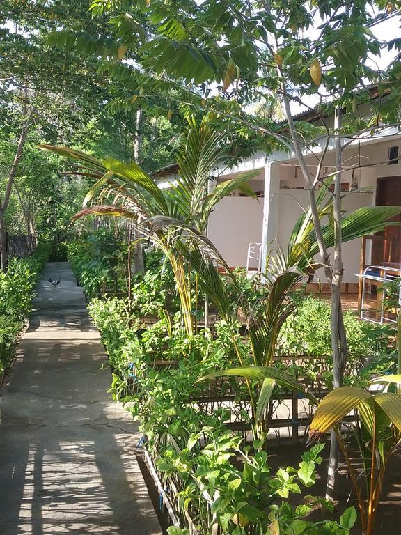 Putri Homestay Gili Meno Eksteriør billede